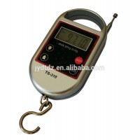 sensitive scale maker TS310 digital hanging scale with FM radio